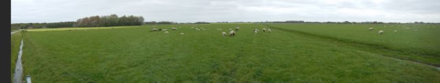 HWK Texel 2015 032.jpg